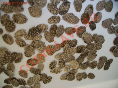 1000 чешуек на продажу. - PICT0327.JPG