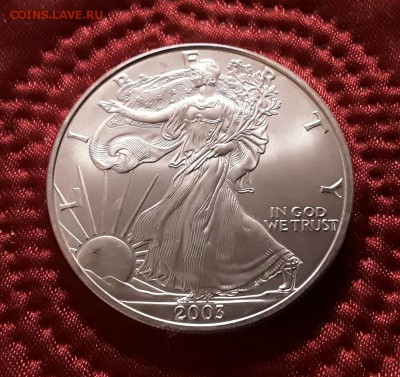США. 1 доллар 2003 г. Шагающая свобода. До 19.02.19. - 20190214_161104