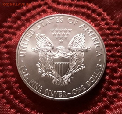 США. 1 доллар 2009 г. Шагающая свобода. До 19.02.19. - 20190214_161121