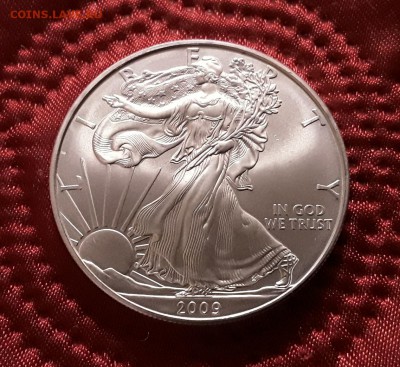 США. 1 доллар 2009 г. Шагающая свобода. До 19.02.19. - 20190214_161136