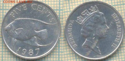Бермуды 5 центов 1987 г., до 20.02.2019 г. 22.00 по Москве - Бермуды 5 центов 1987  5206