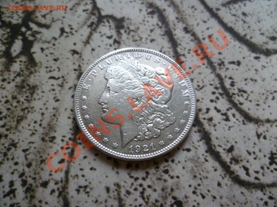 Доллар США 1921 Ag до 11.06.2011 22-00 - P1010189.JPG