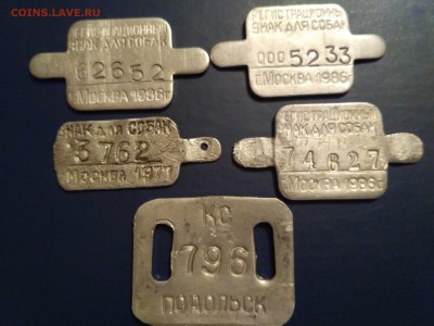 Собачьи жетоны - IMG_20190211_215615