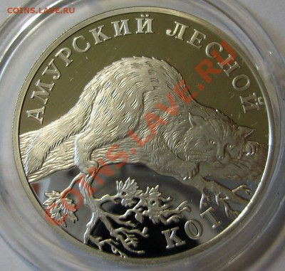 1 рубль 2004 Амурский лесной кот до 15.06.2011 в 20-00 Мск - P5011027.JPG