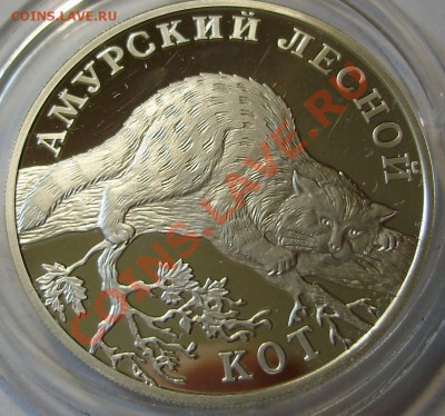 1 рубль 2004 Амурский лесной кот до 15.06.2011 в 20-00 Мск - P5011028.JPG