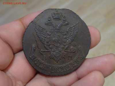 5 копеек 1891 АМ до 22.02 до 22.00 - DSC08871
