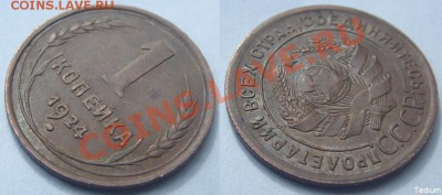 1 копейка 1924 г.XF.До 12 июня,22:00 - 1-24(под углом).JPG