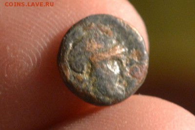 Антика.Малая Азия  до 22.02.2019 22:00 по Москве. - CSC_0442.JPG