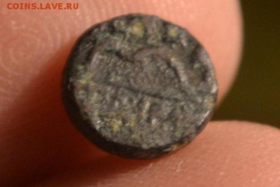 Антика.Малая Азия до 22.02.2019 22:00 по Москве - CSC_0439.JPG