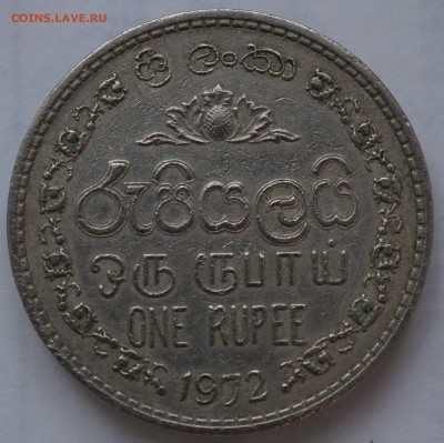 Шри Ланка 1 рупия 1972, 1982 до 22.02 в 22.00 - DSC01204.JPG