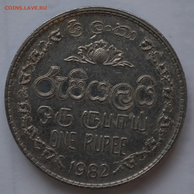Шри Ланка 1 рупия 1972, 1982 до 22.02 в 22.00 - DSC01210.JPG