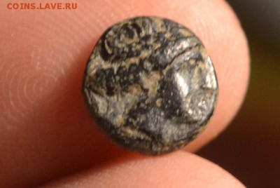 Антика.Малая Азия до 22.02.2019 22-00 - CSC_0445.JPG