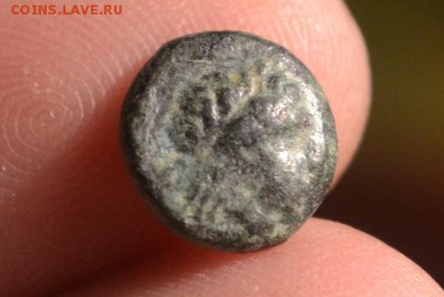 Антика.Малая Азия до 22.02 2019 22-00 - CSC_0466__2_.JPG