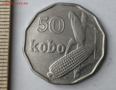 Нигерия 50 кобо 1991 до 20.02 - IMG_20190217_162606