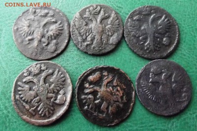 Денга1731-1749 гг.6 шт. до 24.02.19г. до 22-00 - DSCF7469.JPG