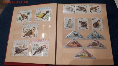 Марки СССР и другие - 20190219_000947