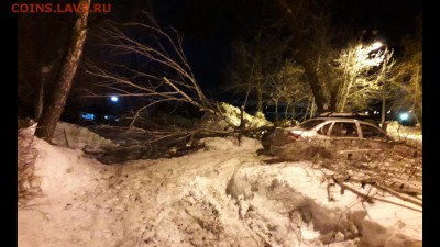 делает - прямо сейчас !!! - Screenshot_20190219-065723_Gallery