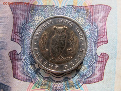 Красная Книга 5 рублей 1991 "Рыбный филин" - IMG_1758.JPG