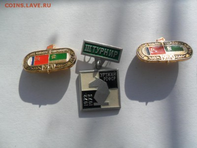 Урожай.3 значка.Фикс - SAM_5662.JPG