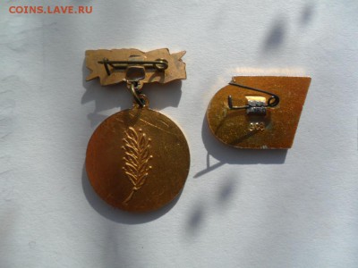 Урожай.2 значка Фикс - SAM_5657.JPG