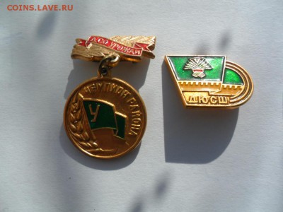 Урожай.2 значка Фикс - SAM_5656.JPG