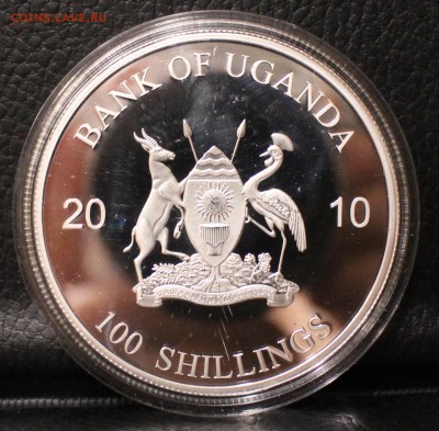 Уганда 100 шиллингов 2010 Горный лев Proof  до 	26.02.19 - IMG_9555