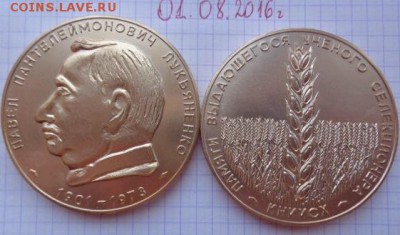 Селекционер Лукьяненко КНИИСХ Кубань до 25.2  в 21-50 мск - DSC02558.JPG