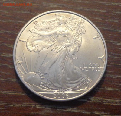 США - Шагающая Свобода 2006 до 26.02, 22.00 - Шагающая свобода 2006_1.JPG