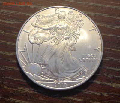 США - Шагающая Свобода 2010 до 26.02, 22.00 - Шагающая свобода 2010_1.JPG