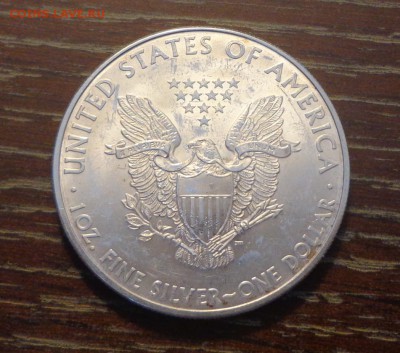 США - Шагающая Свобода 2010 до 26.02, 22.00 - Шагающая свобода 2010_2.JPG