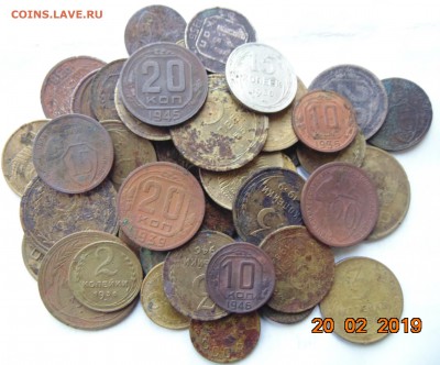 Ранние советы 50 шт. - DSC00395.JPG