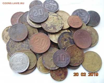 Ранние советы 50 шт. - DSC00396.JPG