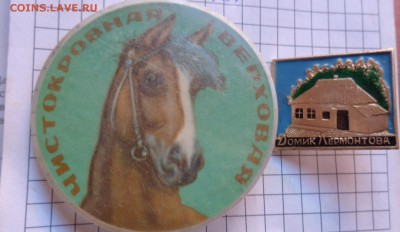 солянка-разное  37  шт  до 25.2  в 21-50 мск - DSC05057.JPG