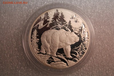 3 рубля, 2009 год. Медведь 27.02 - IMG_3263.JPG