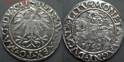 Литовский полугрош Жыгимонта Августа, 1565 год - Полугрош1560