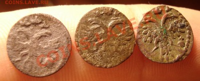 Полушки 1719,20 годов - DSC09335.JPG