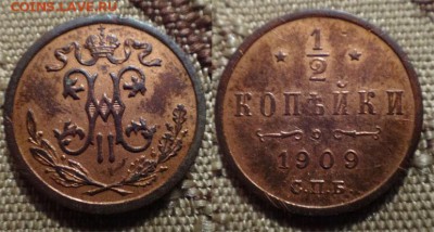 4  домашние - полкоп 1909