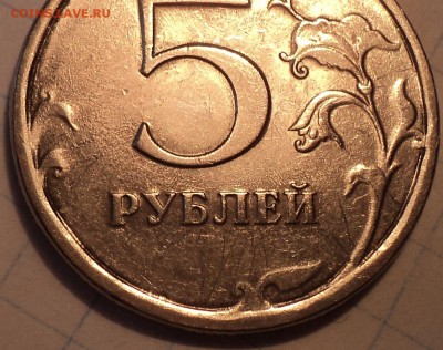 РАЗНОВИДНОСТИ  от  СЛФ - DSC04676.JPG