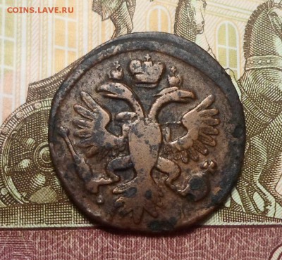 Денга 1734 г(4-х лепестковая) до 28.02.2019 - SAM_5615.JPG