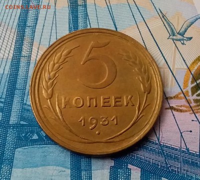 5 копеек 1931. До 28.02.19 в 22.00 - 20190224_132916