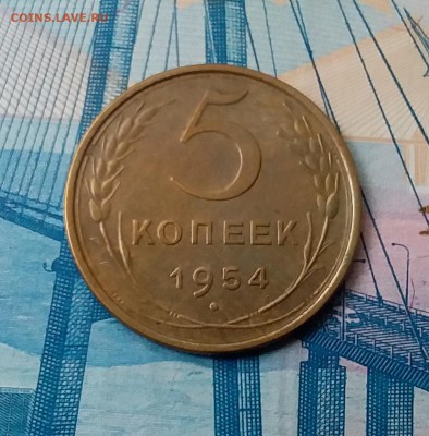 5 копеек 1954. До 28.02.19 в 22.00 - 20190224_141619
