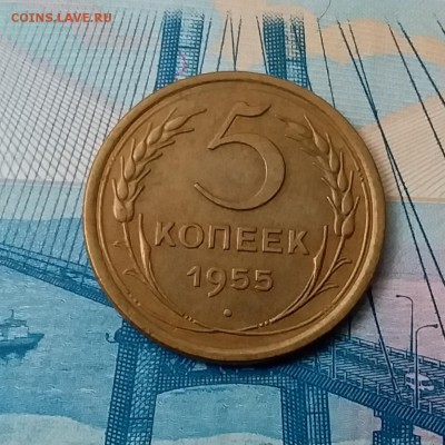 5 копеек 1955. До 28.02.19 в 22.00 - 20190224_141936