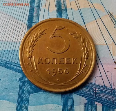 5 копеек 1956. До 28.02.19 в 22.00 - 20190224_142257
