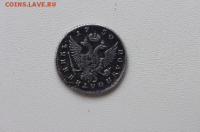 Полуполтинник 1750 ммд, поддлинность - 1