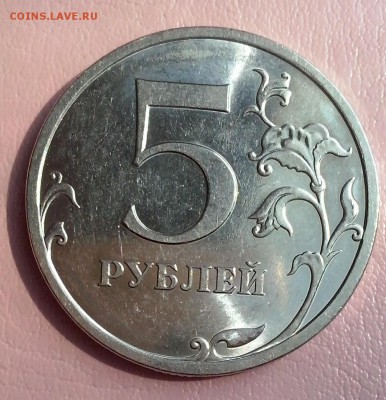 цвет синевато-сиреневый Р - зер (9)