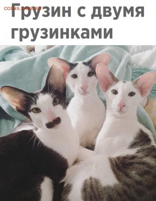 юмор - LvjfbmYncsw