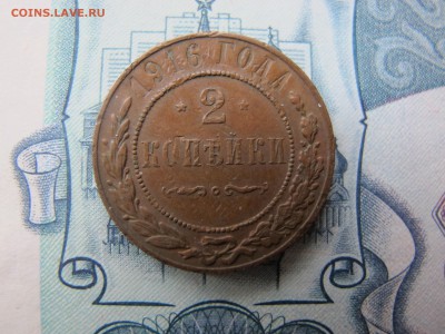 №1 - IMG_3141.JPG