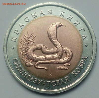 Красная Книга 1992 год оценка - image682Q1RU4