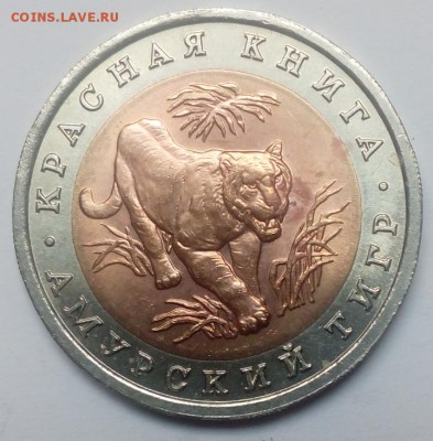 Красная Книга 1992 год оценка - image1C4NRK3J