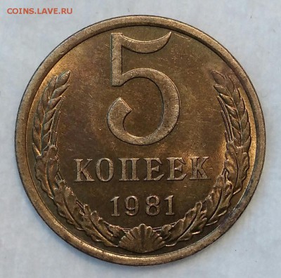 5 копеек 1981 UNC. До 28.02.19. 22-00 Мск. - UTZfSiTH9tg
